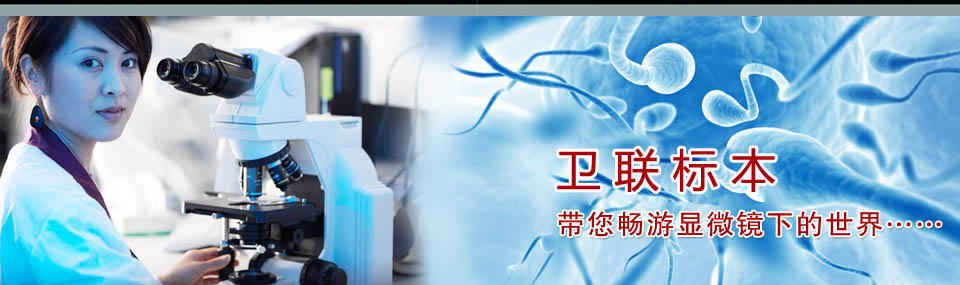 醫(yī)學教學標本、切片標本、各類微生物、寄生蟲、病理、組織、中藥、解剖標本，沅江市衛(wèi)聯(lián)醫(yī)學標本廠 電話/傳真：0737-2734242