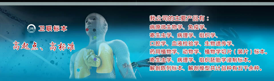 醫(yī)學教學標本、切片標本、各類微生物、寄生蟲、病理、組織、中藥、解剖標本，沅江市衛(wèi)聯(lián)醫(yī)學標本廠 電話/傳真：0737-2734242